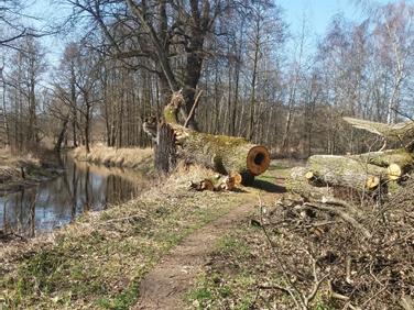 Velká jarní cyklistická revoluce