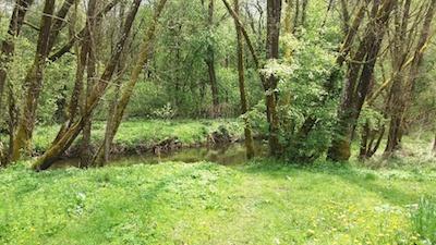 Třeboňská pánev